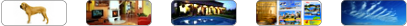 Navigational photo bar